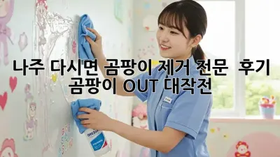 나주 다시면 곰팡이 제거 전문 💯 후기! 곰팡이 OUT 대작전 🏡