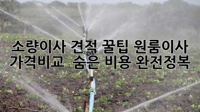 소량이사 견적 꿀팁🍯 원룸이사 가격비교 & 숨은 비용💸 완전정복!
